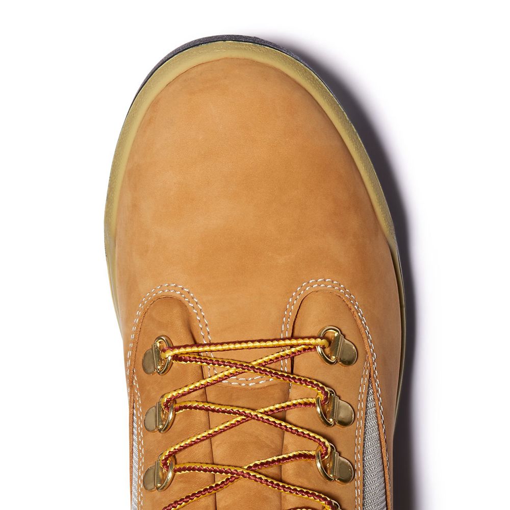 Botas Masculino - Timberland 6-Inch Impermeavel Field - QMOEC6875 - Marrom/Pretas